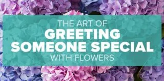 FM4-Bold-Reunited-Blog