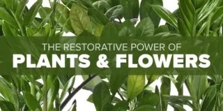 FM4-Bold-Self-Care-Blog