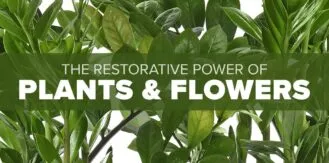 FM4-Bold-Self-Care-Blog